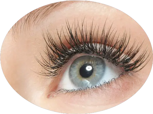  Eyelash Extensions Mariposa Hair Ilia Shadow Of A Doubt Mascara Png Eyelashes Png