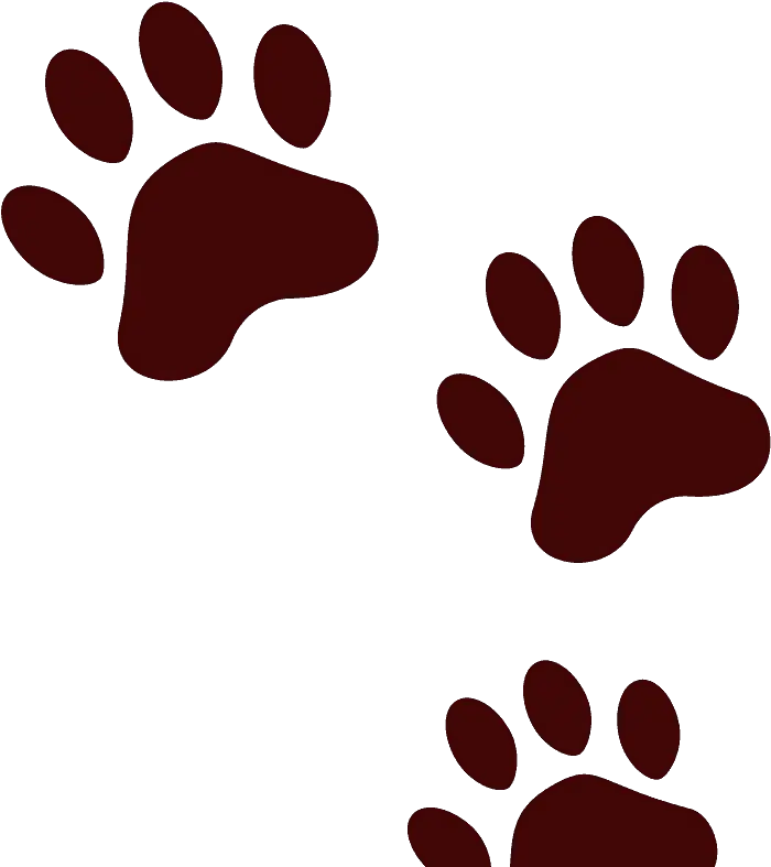  Paw Prints Emoji Clipart Free Download Transparent Png Bear Footprint Emoji Paw Prints Transparent