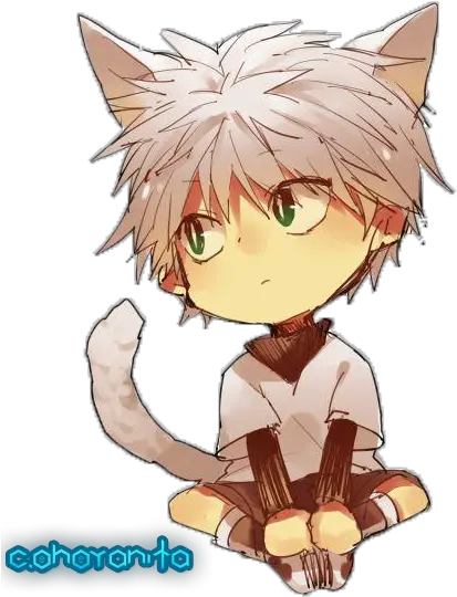  Hunter X Killua Chibi Killua Chibi Png Killua Png