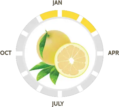  Our Varieties Suntreat Meyer Lemon Png Lime Wedge Icon