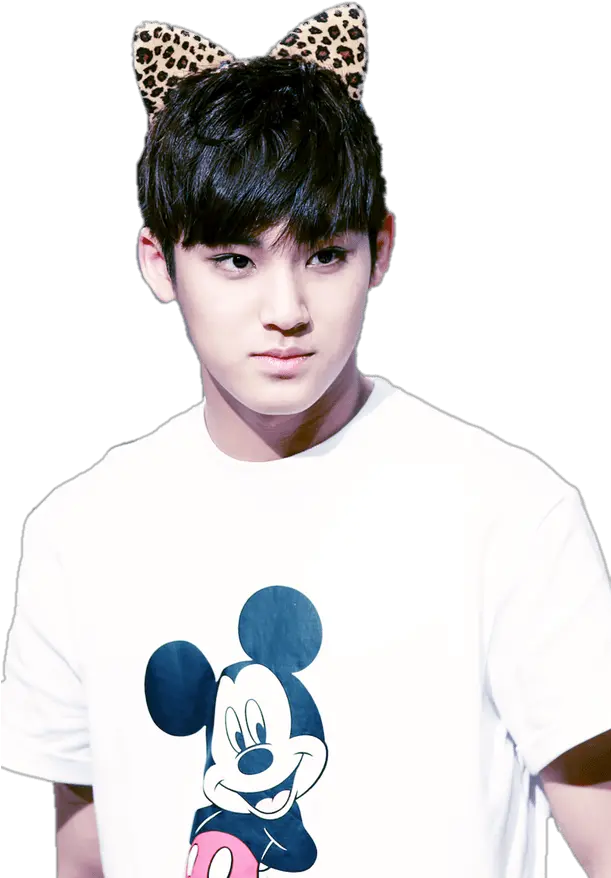  Download Seventeen Mingyu Transparent Full Size Png Migyu Png Seventeen Png