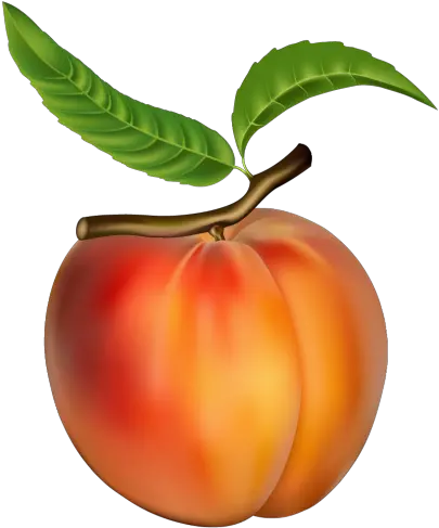  Peach Png Clipart Peach Images Clip Art Fruit Clipart Png