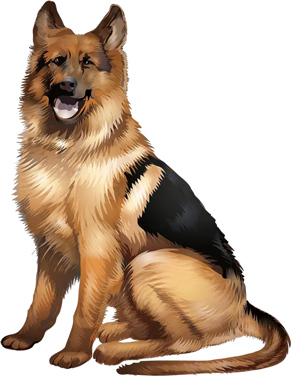  Tshirt German Shepherd Dog Vector Png German Shepherd Png