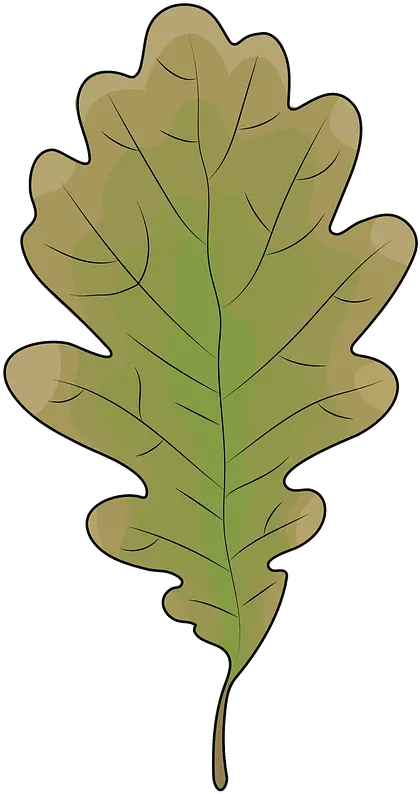  Oak Leaf Clipart Free Download Transparent Png Creazilla Hoja De Roble Animado Leaf Transparent