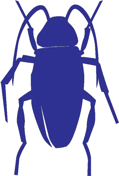  303 Pest Control Cockroach Icon Png Roach Png