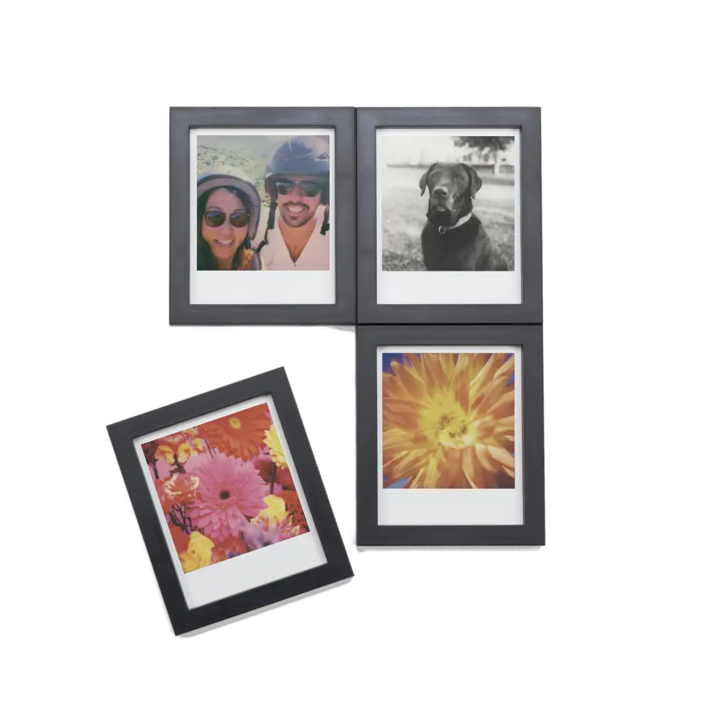  Magnetic Picture Frames Wildflower Png Polaroid Frame Png