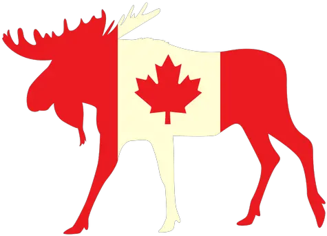  Moose With Canada Flag Flat Transparent Png U0026 Svg Vector File Canada Flag Moose Silhouette Png