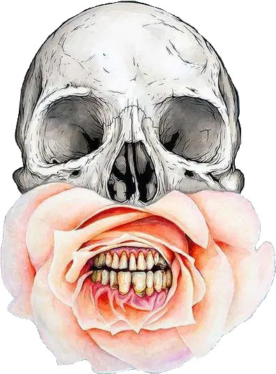  Calavera Png Tumblr 5 Image Life And Death Artists Calavera Png