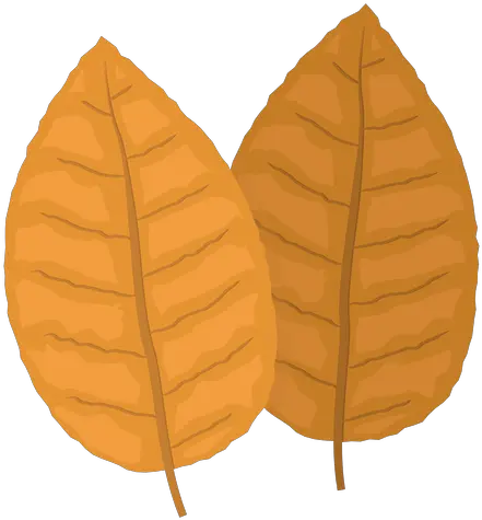  Photo Of Tobacco Leaves Clipart Tobacco Leaf Png Leaves Clipart Png