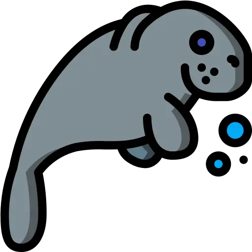  Manatee Dot Png Manatee Icon