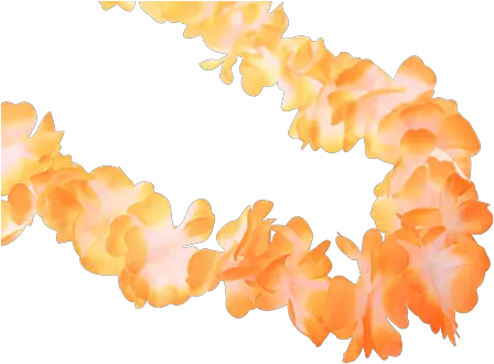  Hawaiian Lei Garlands Colour Event Supplies Running Imp Color Gradient Png Lei Png