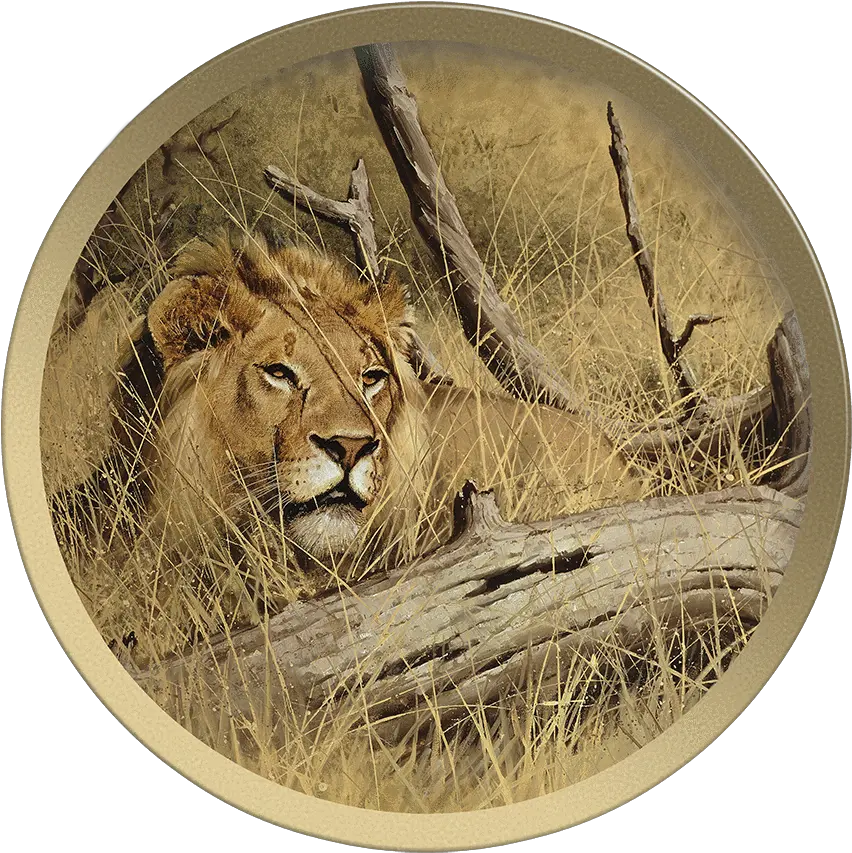  Download Siberian Tiger Head Plate Masai Lion Full Size Circle Png Tiger Head Png