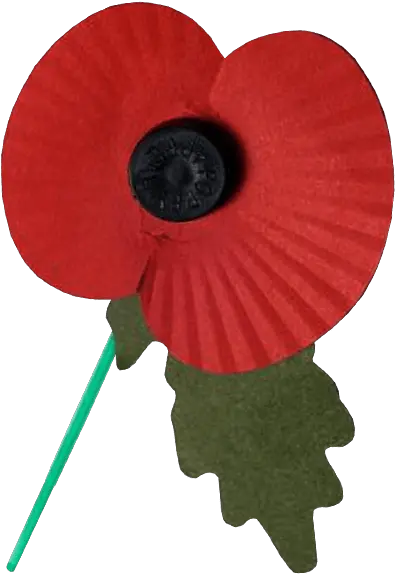  Remembrance Day Poppy Transparent Png Free Images Transparent Background Remembrance Poppy Png Corn Transparent Background