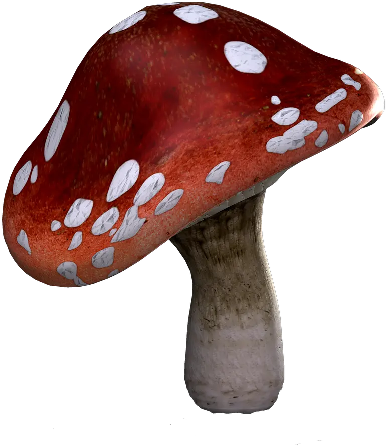  Fly Agaric Mushrooms Fantasy Free Image On Pixabay Png Mushroom Png