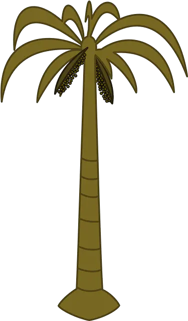  Black Outline Drawing Silhouette Palm Tree White Png