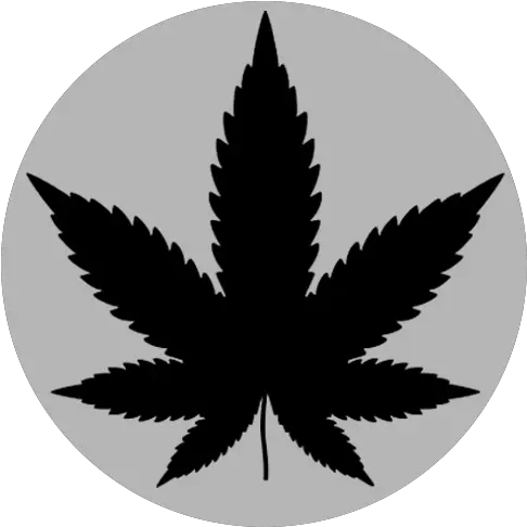  Marijuana News Barcelona Coffeeshopbarcelonaorg Png Barca Logo 512x512