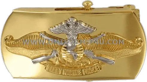  Us Navy Fleet Marine Force Warfare Belt Buckle Navy Belt Buckles Png Belt Buckle Png