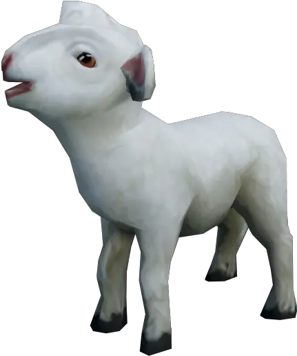  Liu0027l Lamb The Runescape Wiki Sheep Png Lamb Png