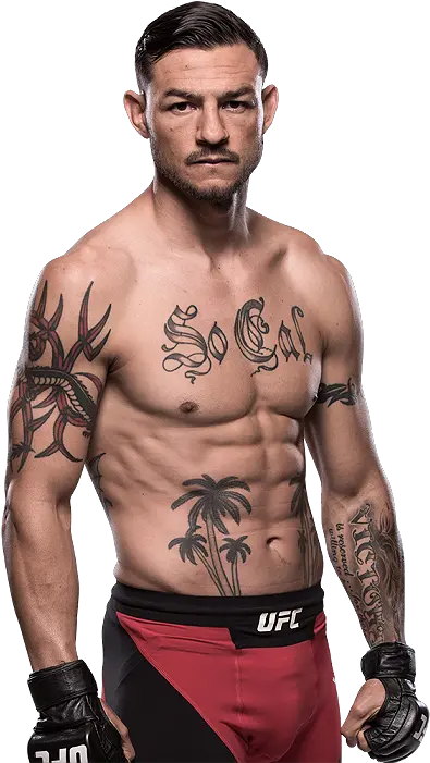  Download Official Ufc Fighter Profile Peter Sobotta Vs Ufc Cub Swanson Png Ufc Png