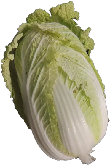  Free Cabbage Transparent Download Clip Art Romaine Lettuce Png Cabbage Transparent Background