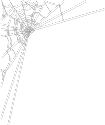  Cobwebs Real Transparent Png Clipart Spider Web Cobweb Png