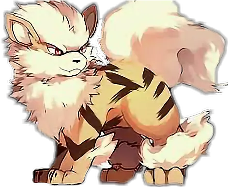  Arcanine Sticker Arcanine Png Arcanine Transparent