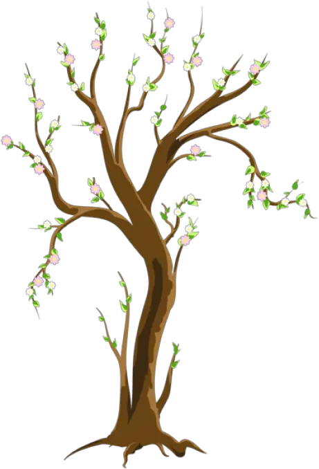  Free Png Download Spring Treepicture Images Background Trees In Spring Clipart Spring Background Png