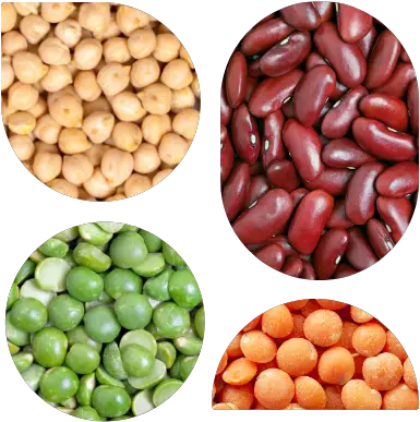  Request For Proposals Industry Consultants Pulse Starch Bean Texture Png Pea Icon