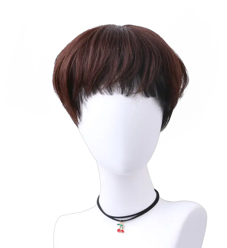  Color Classification With Fringe Black Net Dark Brown Bangs Cut Out Png Brown Hair Png