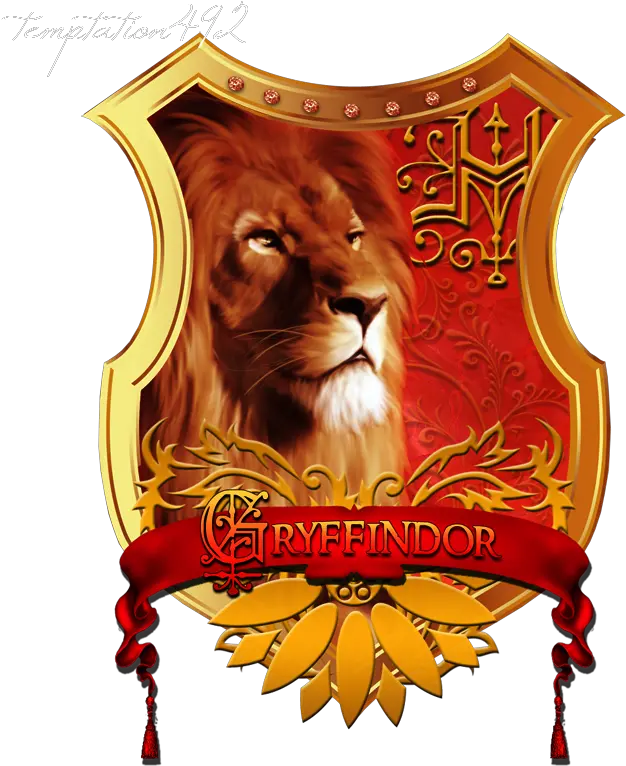  Gryffindor Hermione Granger T Shirt Lion Png Gryffindor Png