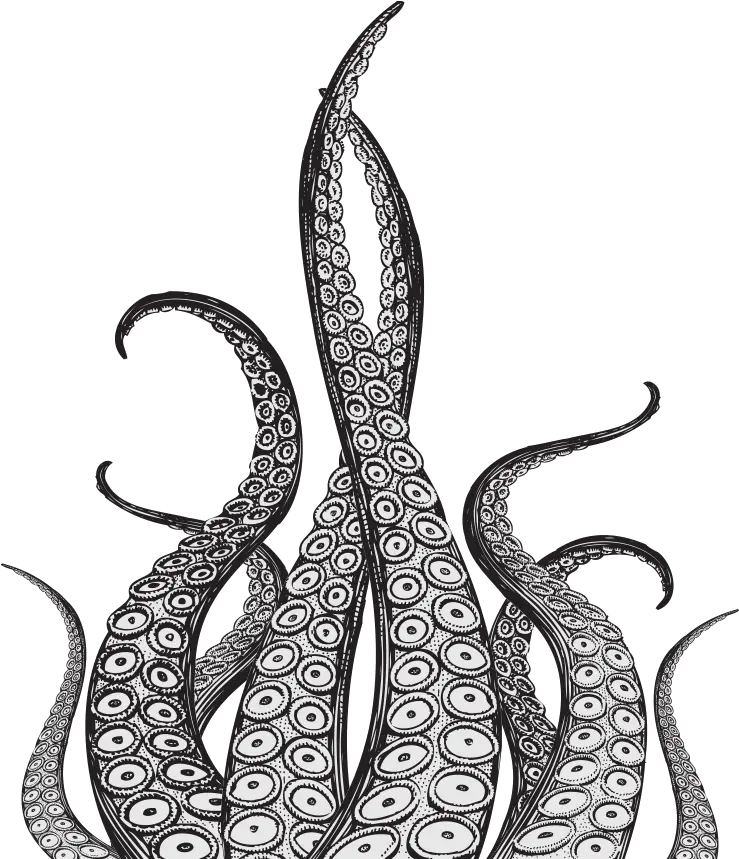  Octopus Tentacles Png Pic Tentacle Drawing Tentacles Transparent Background