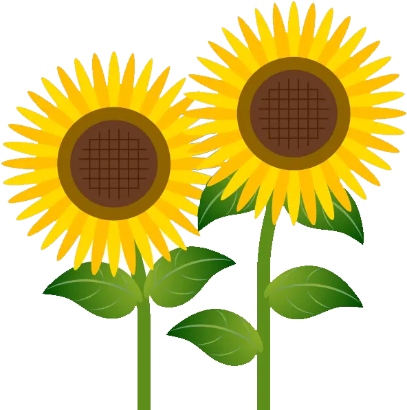  How To Download Flower Cliparts Clipart Transparent Sunflower Clip Art Free Png Clipart Transparent Background