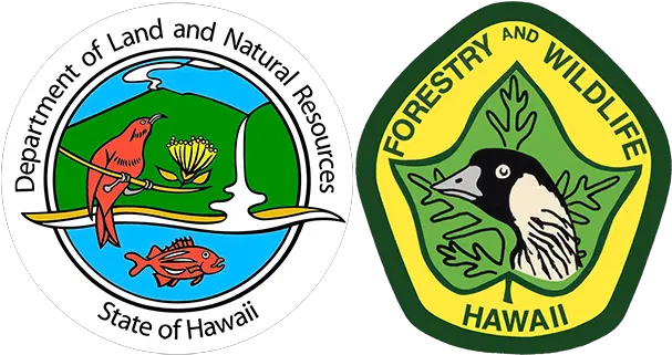  Division Of Forestry And Wildlife Language Png Forest Service Avian Icon