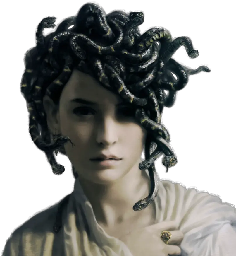  Women With Snake Hair Medusa Avant Garde Hairstyles Png Woman Hair Png