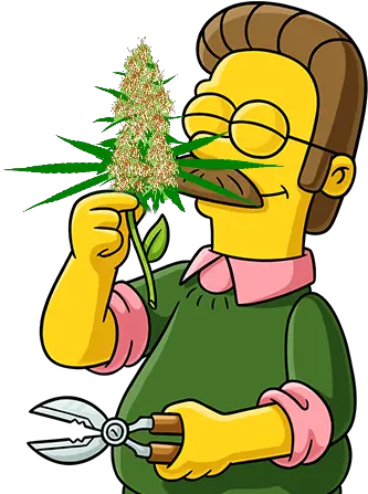  Howdy Doodleey Ned Flanders Transparent Background Png Ned Flanders Png