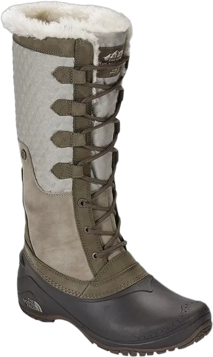  Winter Boots Transparent Png Clipart North Face Shellista Boots Tall Boots Png