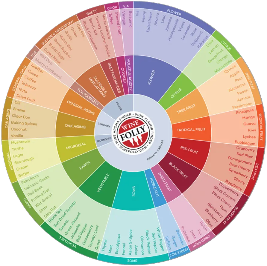  Solved Re Writing A Paragraphe Alongside Circle With V Wine Flavor Chart Png Vertical Line Png