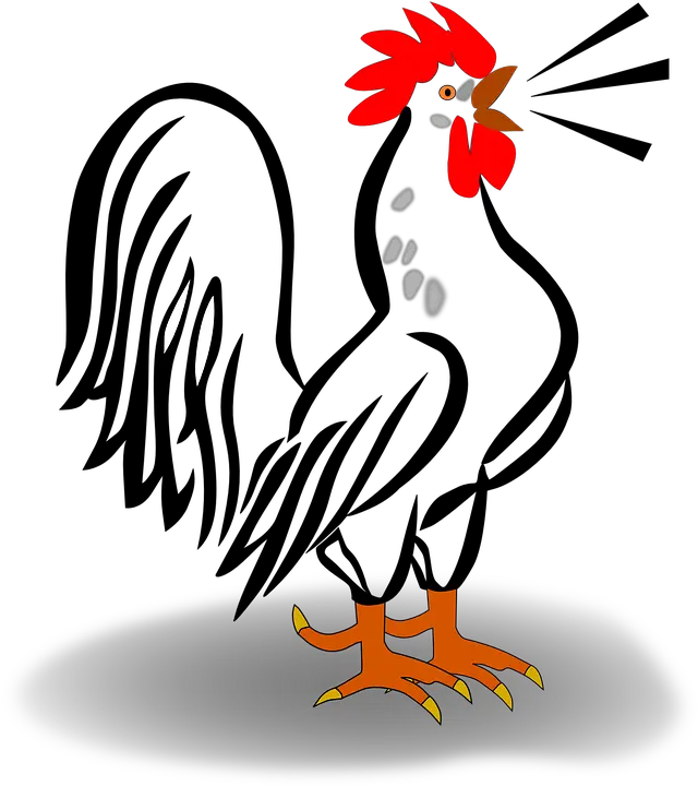  Rooster Cark Crow Free Rooster Clip Art Png Rooster Png