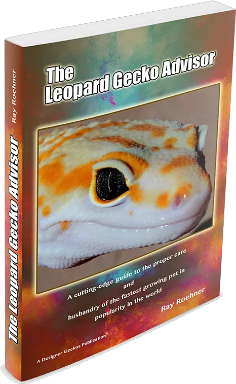  The Leopard Gecko Advisor Iguanas Png Leopard Gecko Png