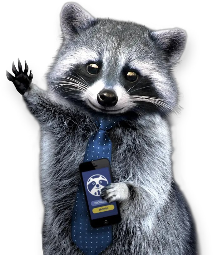  Png Background Png Raccoon Raccoon Transparent Background