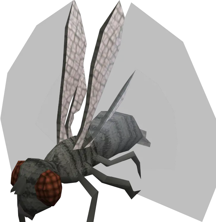  Warped Fly The Runescape Wiki Giant Fly Png Fly Png