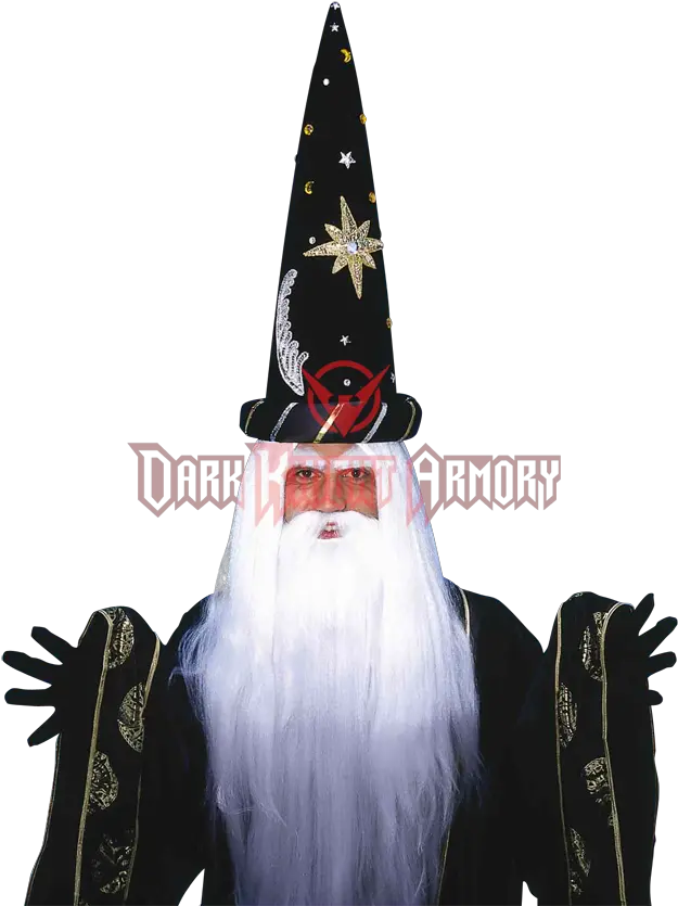  Download Zoom Costume Png Wizard Beard Png