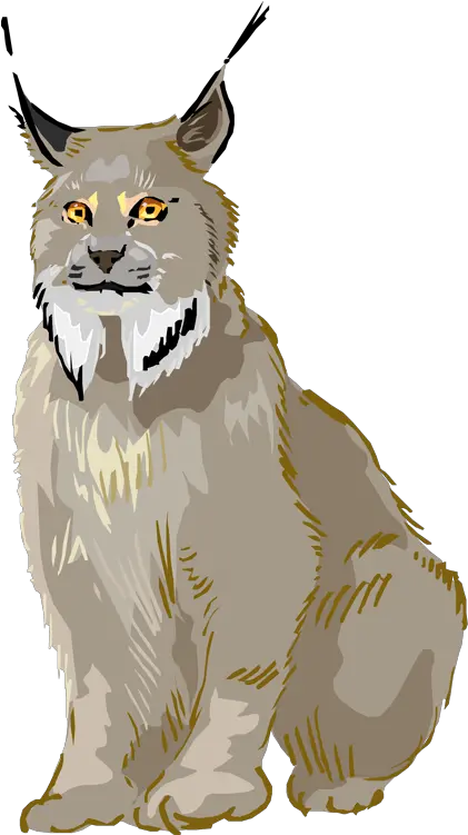  Lynx Clipart Png Image Clipart Lynx Lynx Png