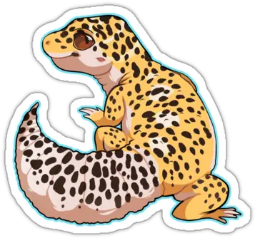  Leopard Gecko Sticker Leopard Gecko Cartoon Gecko Png Leopard Gecko Png