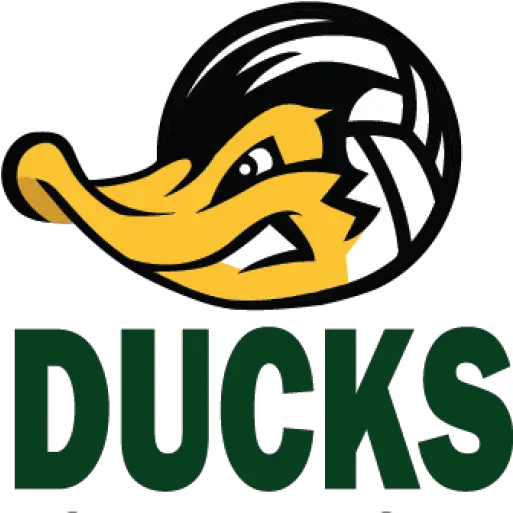  Ducks Volleyball U2013 Forever Family Fearless Ducks Beach Volleyball Logo Png Volleyball Logo