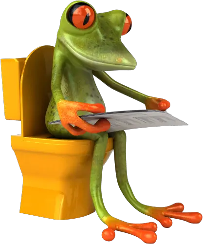  Green Frog Kermit My Blog Chiste Meme Flip Flops Funky Toilet Seats Png Kermit Png