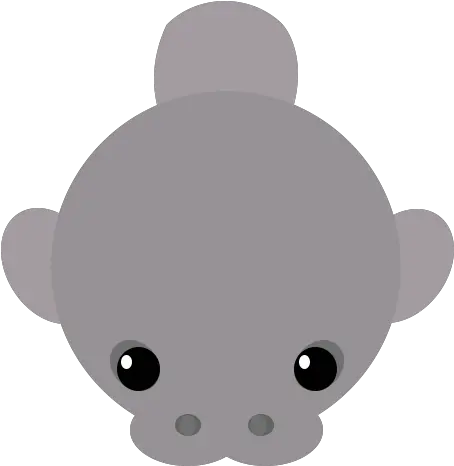  Manatee Mopeio Cartoon Png Manatee Png