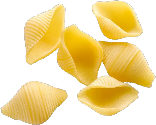  Download Hd Shell Pasta Png Transparent Image Nicepngcom Pasta Png Shell Pasta Png