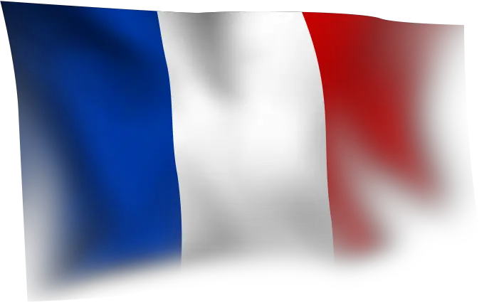  Download Hd France Background France Flag Transparent Png French Flag Png