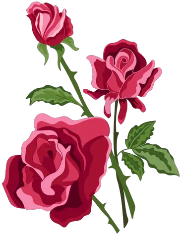  Three Roses Flowers Icon Transparent Png U0026 Svg Vector File Rosas Png Rose Transparent